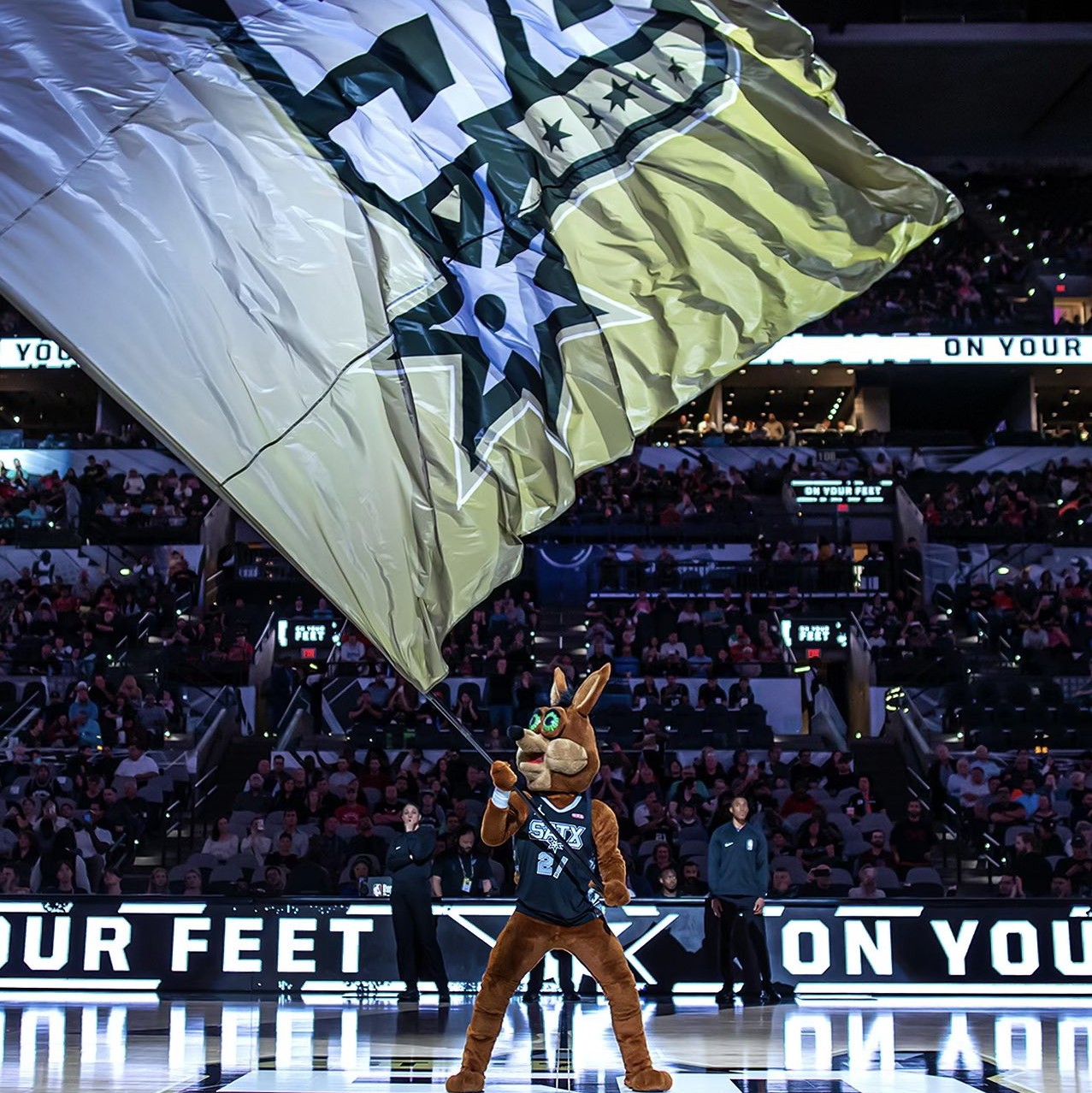 已经成为许 已经成为许